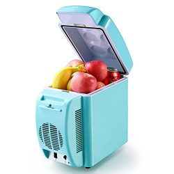 Housmile Thermo – Electric Cooler and Warmer Car Refrigerator Portable Mini Fridge AC & ...