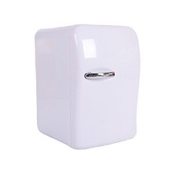 Portable 20L Mini Fridge Electric Cooler and Warmer, Thermoelectric System, DC 12V / AC 110V Pow ...