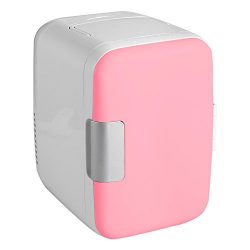 (US STOCK)Pesters Electric 4L Portable Mini Fridge Cooler and Warmer for Car Home Office AC & ...