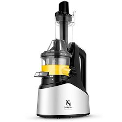 Natalie Styx Juicer Slow Masticating Juicer Extractor, Cold Press Juicer Machine with 3″ W ...