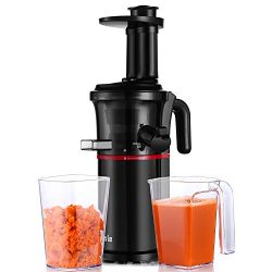 Slow Masticating Juicer Easy to Clean, Cold Press Juicer with Quiet Motor and Reverse Function,  ...