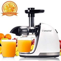 AMZCHEF Juicer, Slow Masticating Juicer Extractor Professional Cold Press Juicer Machine with Qu ...