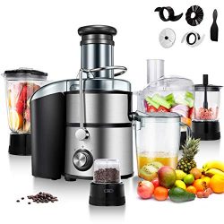 Goplus Juice Extractor 5-in-1 for Fruit, Vegetable and Meat w/Blender, Chopper, Grinder and Food ...