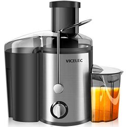 Juicer Machines with Wide Mouth Dual Speed Centrifugal Juicer for Fruits and Vegetable, 600W Sta ...