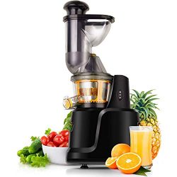 Juicer Machines,Slow Masticating Juicer Extractor Compact Cold Press Juicer Machine Wide Chute C ...